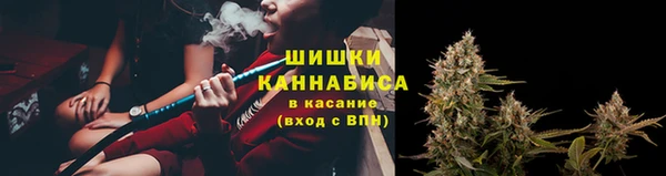 прущие крисы Белоозёрский