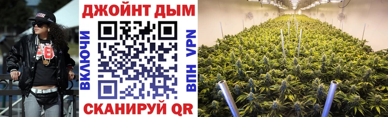 kraken ТОР  Спасск  Бошки марихуана ГИДРОПОН 